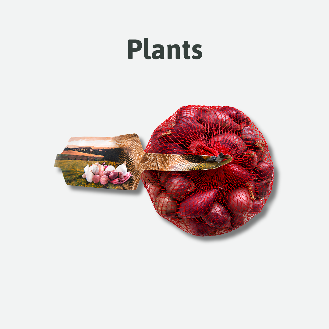 jardins potagers