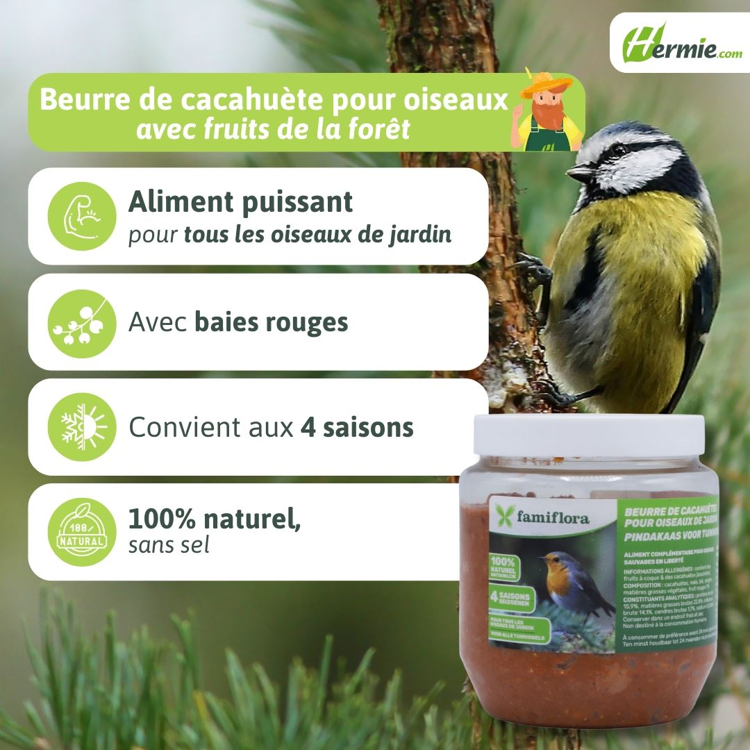 Famiflora peanut butter for garden birds with forest fruits - 350 gr - Bird peanut butter