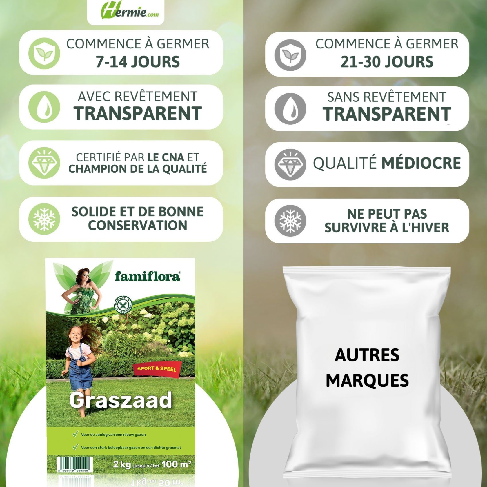 Famiflora semences de gazon jeu & sport 2 kg (jusqu'à 100 m²)