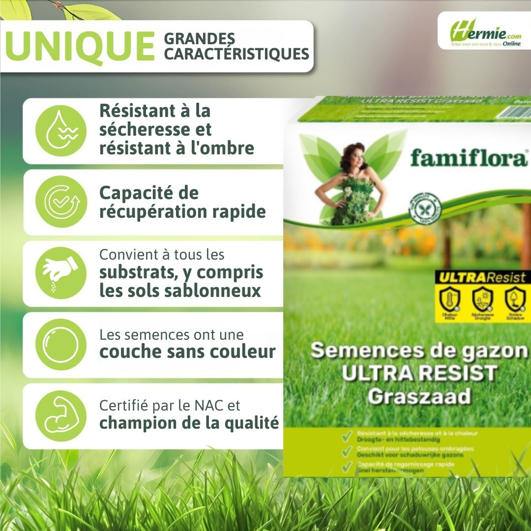 Famiflora grass seed 1kg up to 40m² - Ultra Resist - all-rounder