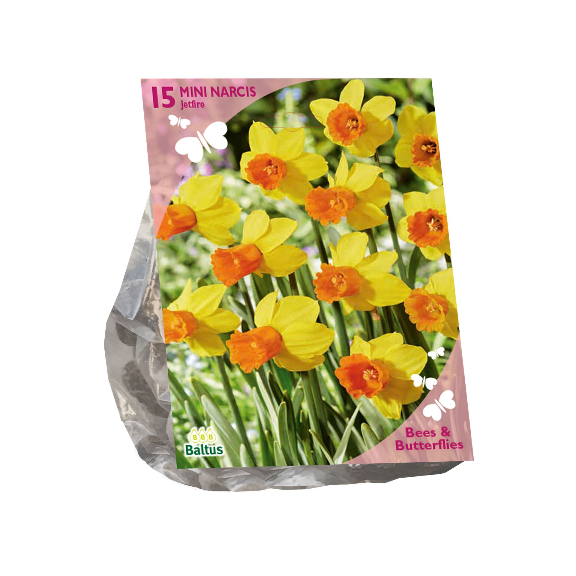 Bees-Butterflies-Narcissus-Mini-Jetfire-per-15