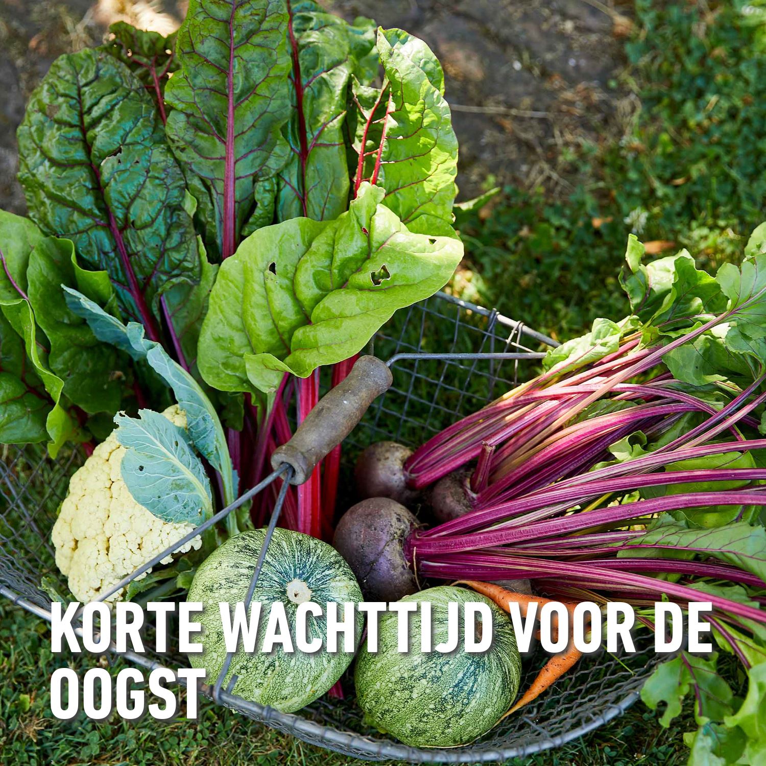 Compo-karate-garden-groenten-fruit-concentraat-200ml