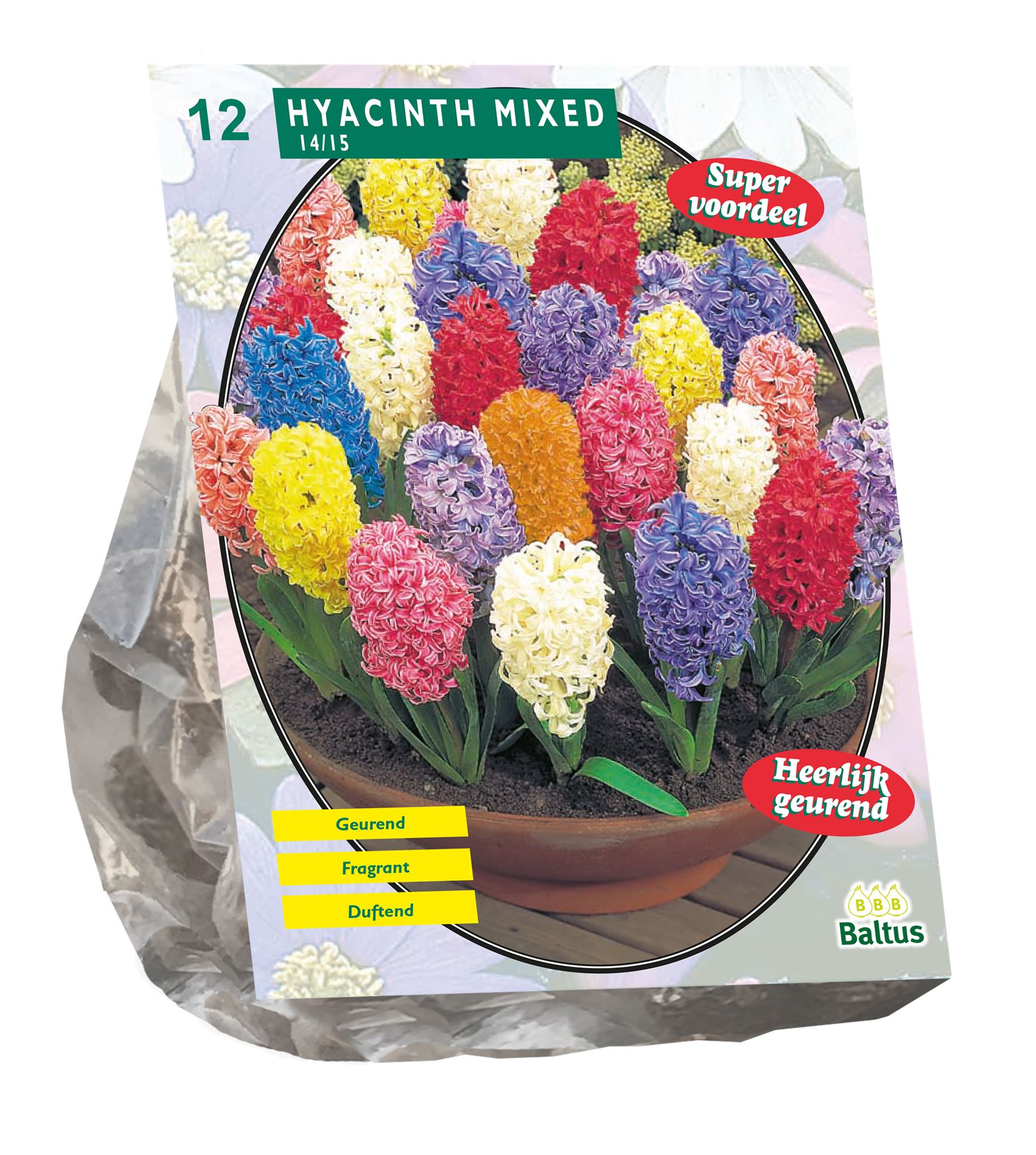 Hyacinth-Mix-per-12