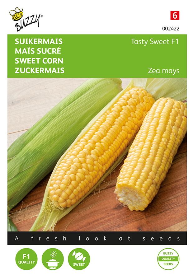 Buzzy-Suikermais-Tasty-Sweet-F1