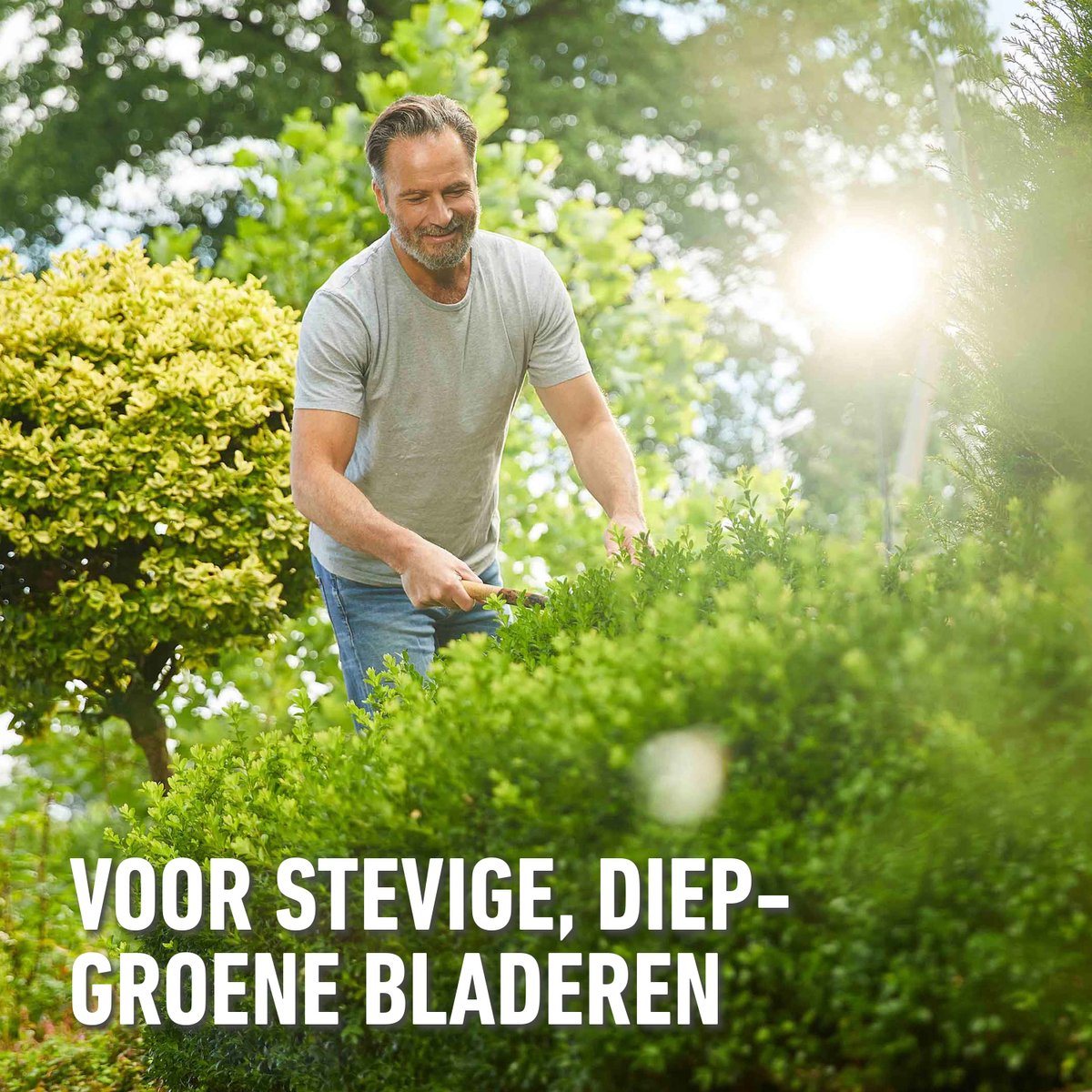 Compo Meststof Buxus & Ilex 2kg - directe en lange werking 6 maanden