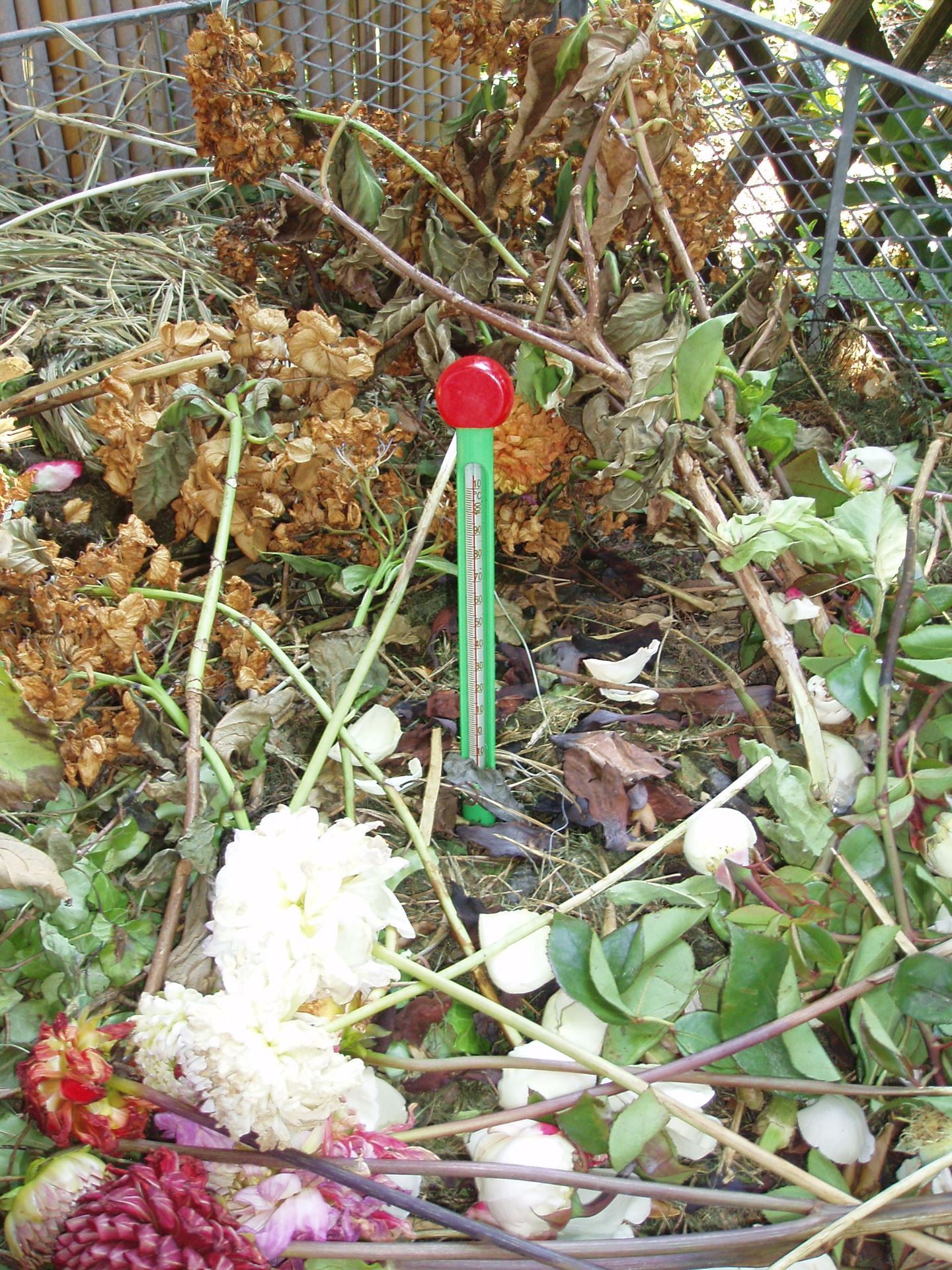 Compost-thermometer-32cm