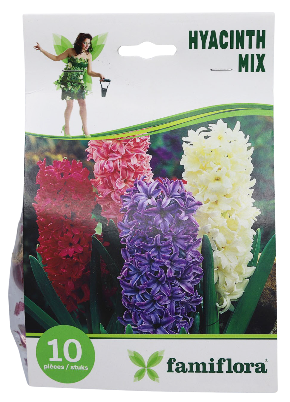 Famiflora Hyacinth Mix - 10 bulbs - Spring flowering bulbs