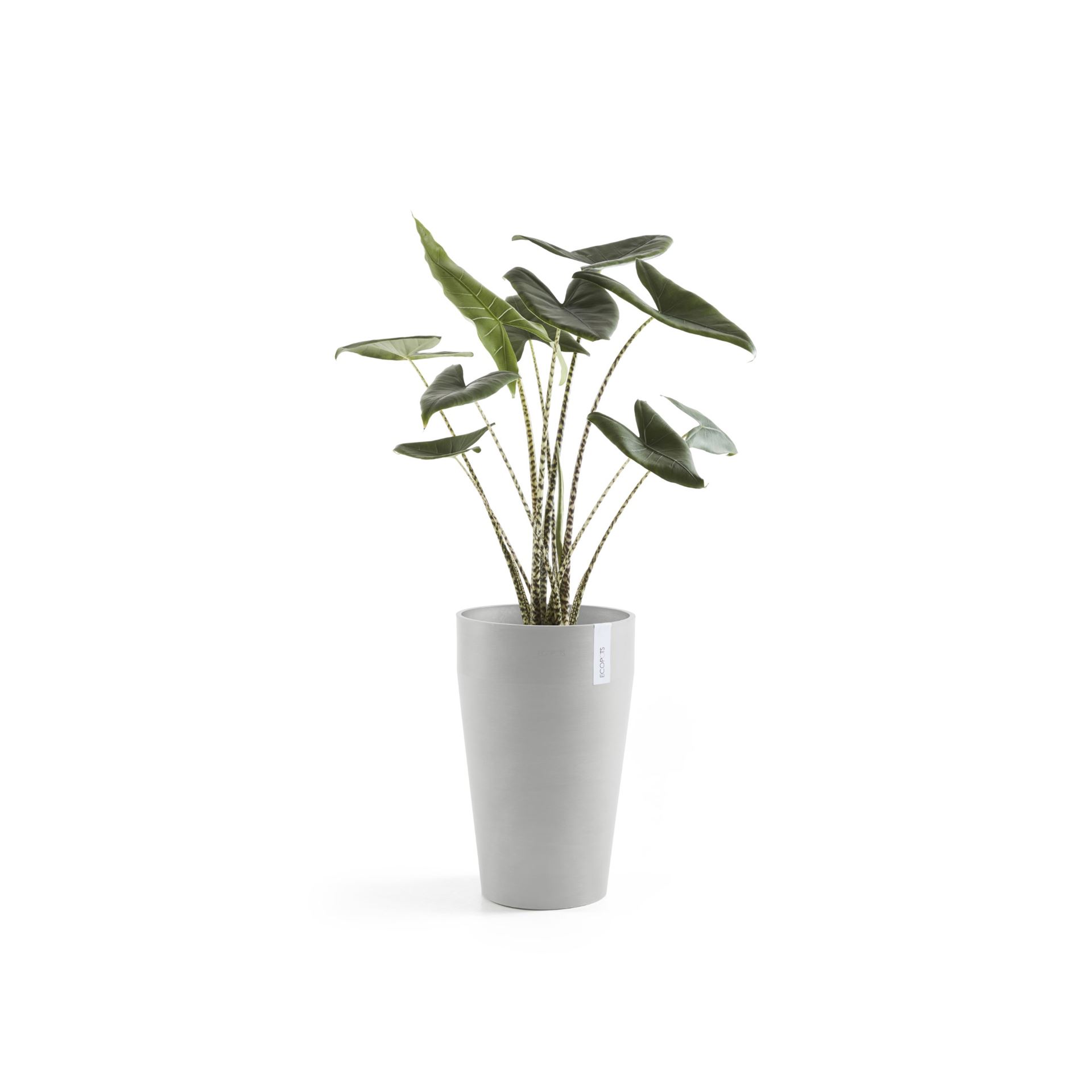 Ecopots-sankara-high-white-grey-35-cm-H55-cm