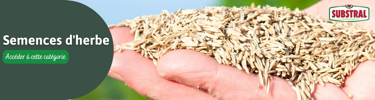 substral semences d'herbe