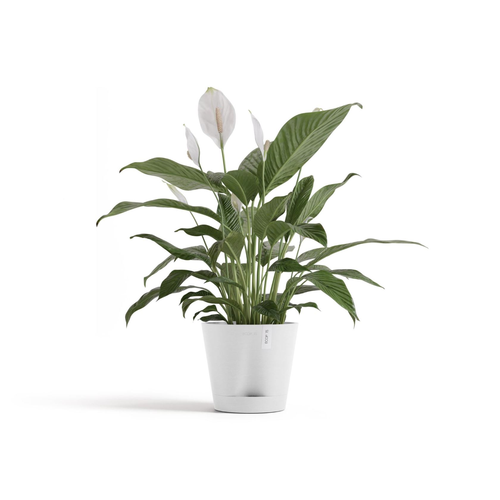 Ecopots-venice-2-pure-white-20-cm-H17-5-cm-incl-waterreservoir