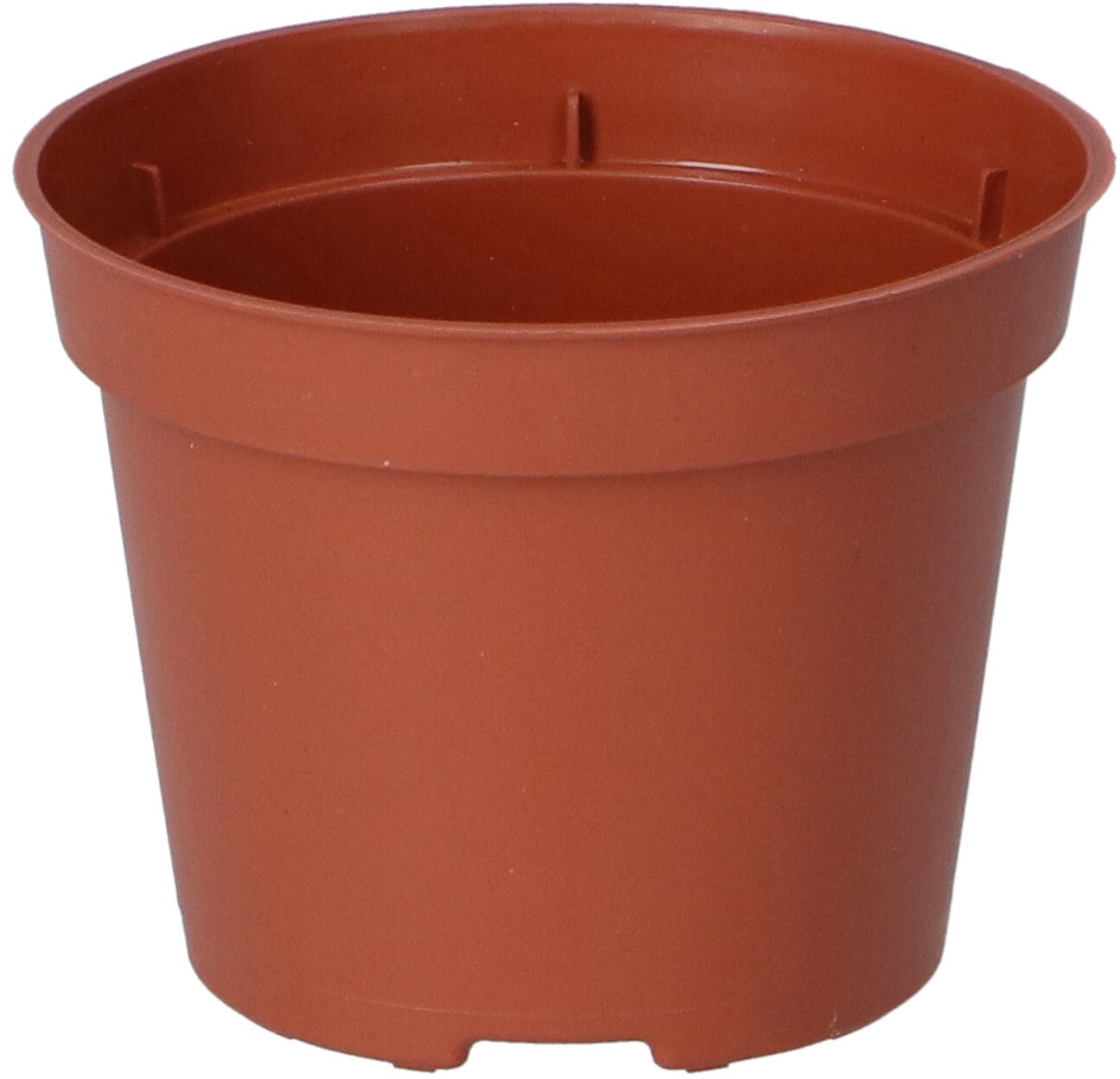 SOGO-Plastic-potje-terra-kleur-6cm-30st-12-