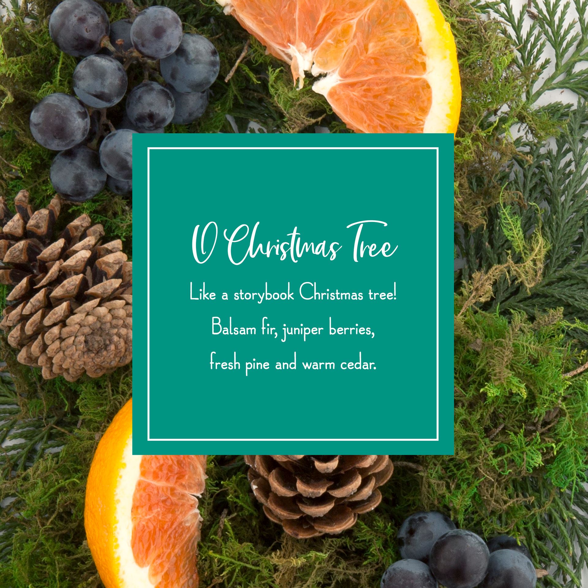 Scentsicles-6pc-Stick-O-Christmas-Tree