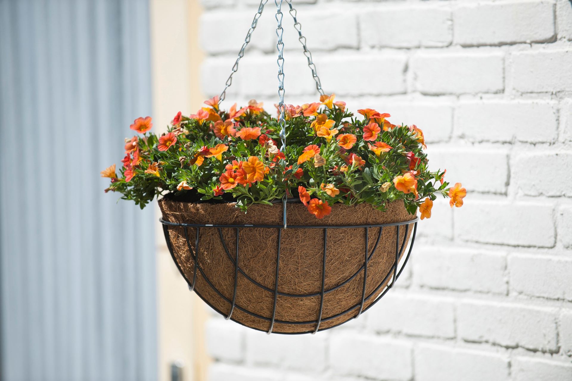 Hanging-basket-metaaldraad-groen-geepoxeerd-incl-ketting-H20x-40cm