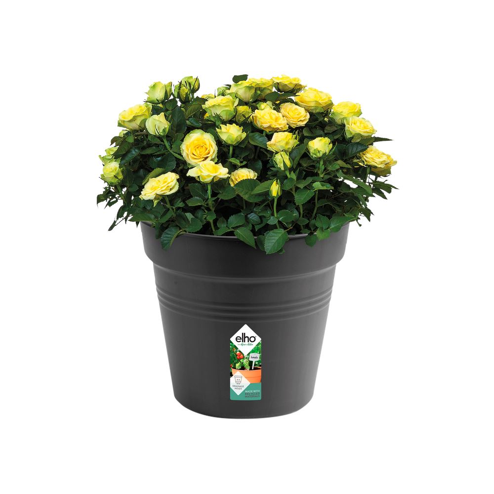 green-basics-kweekpot-rond-40cm-living-black