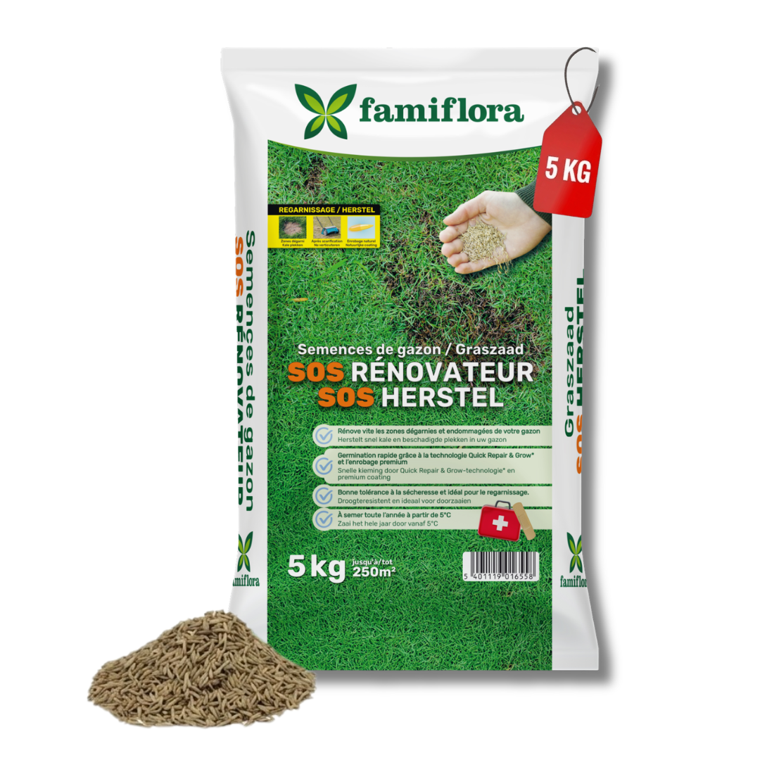 Famiflora grass seed 5kg to 250m² - SOS repair lawn - fast recovery bald spots