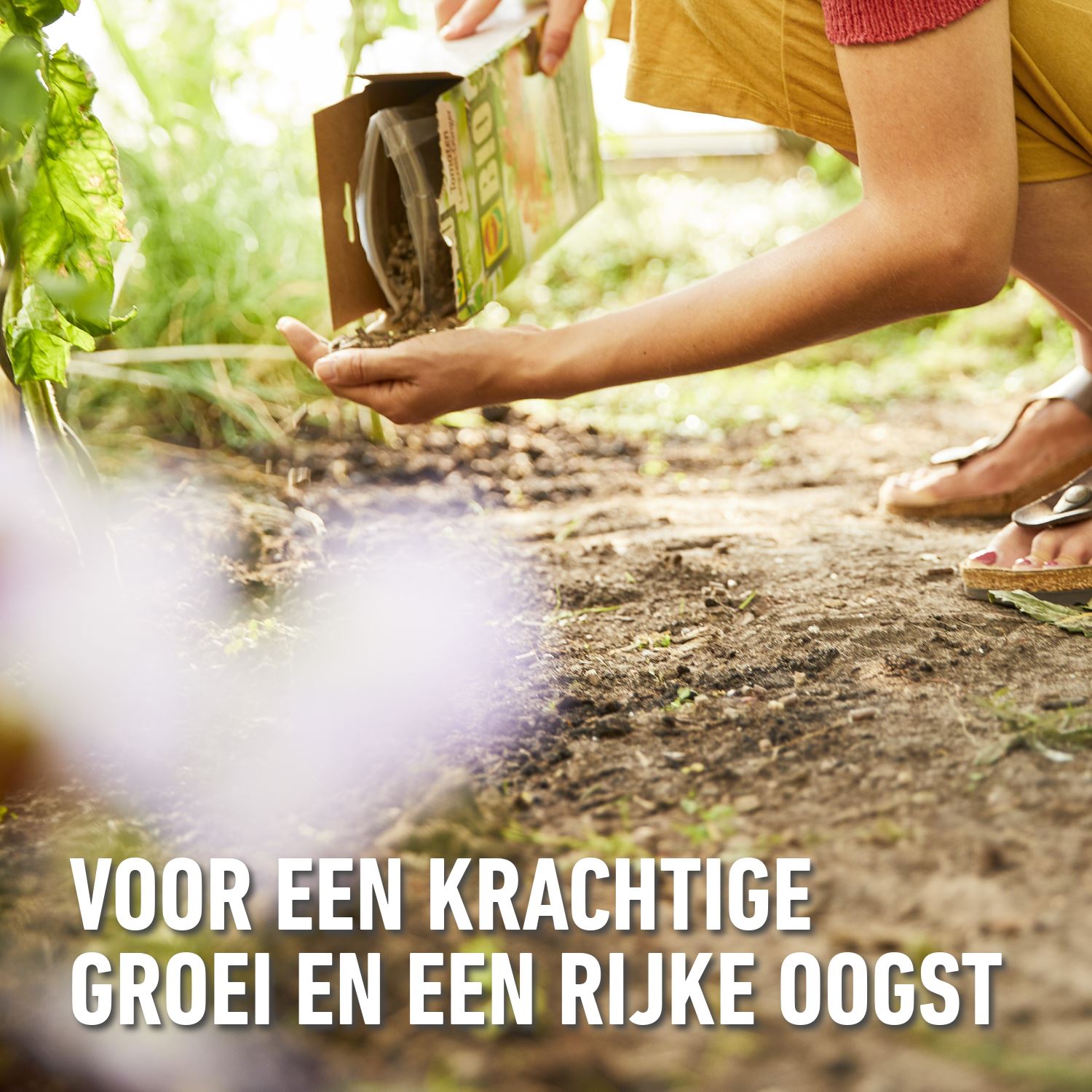 Compo-bio-meststof-tomaten-kruiden-1-2kg