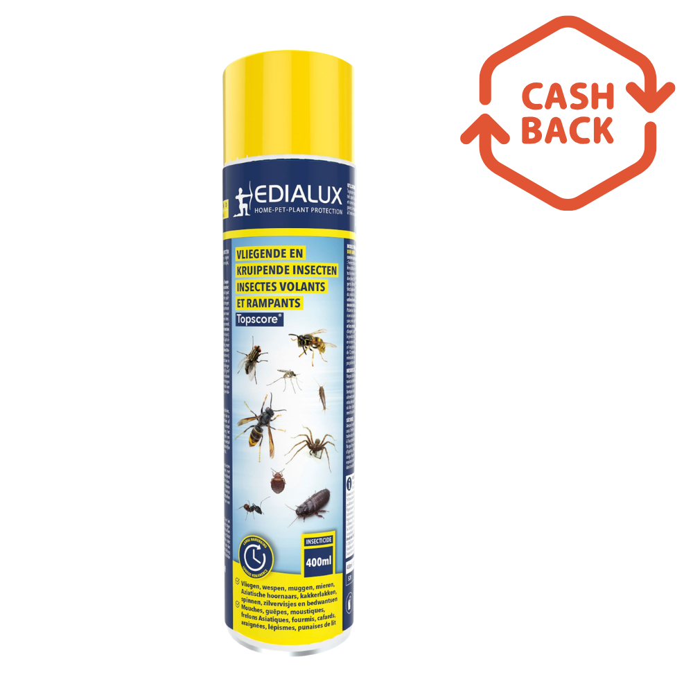 Edialux Topscore Spray Fly and Crawling Insects - 400 ml - Powerful and long-lasting protection