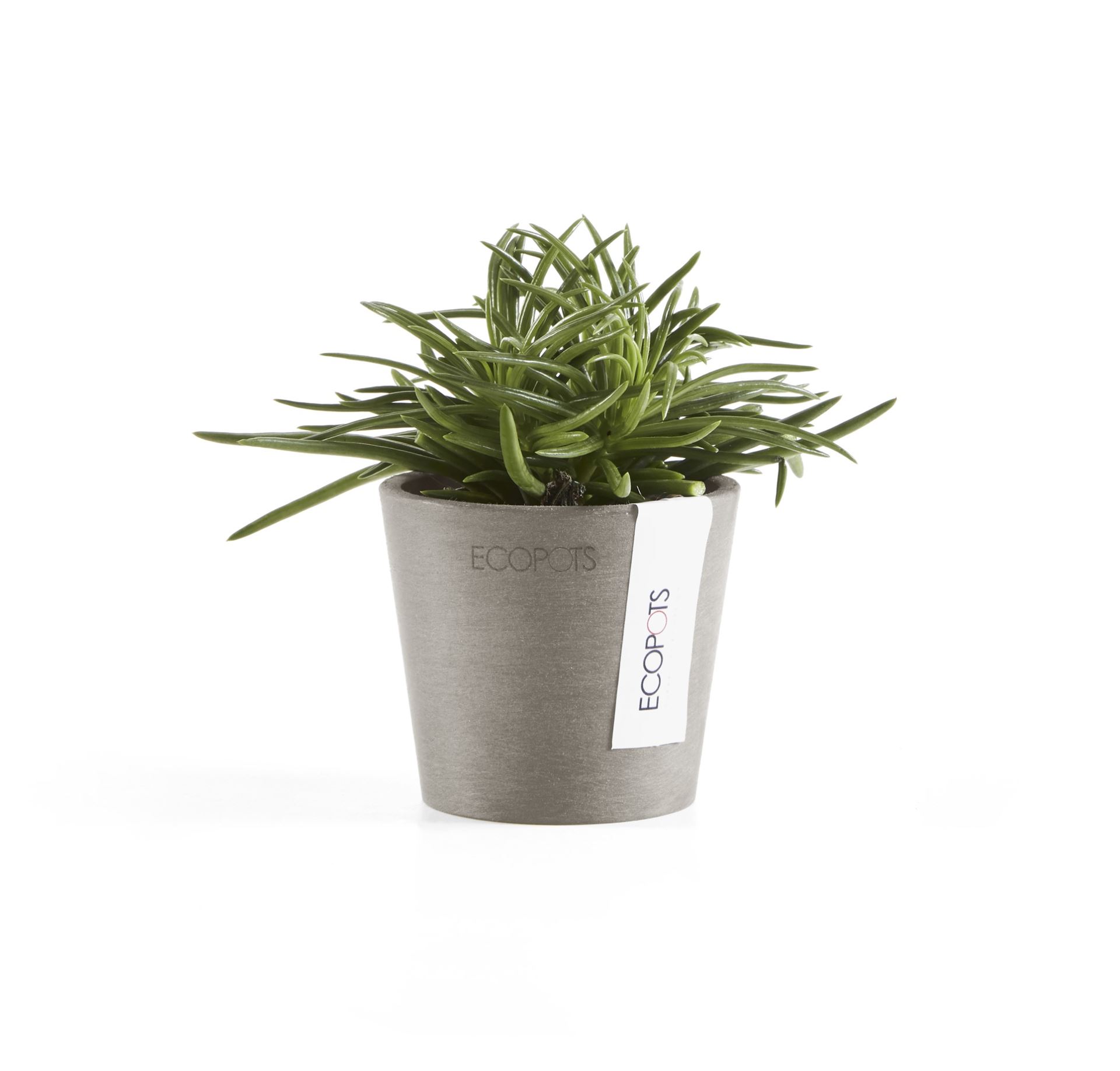 Ecopots-amsterdam-mini-taupe-8-cm-H7-cm