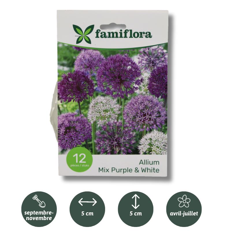 Allium-mix-paars-wit-per-12-10-12
