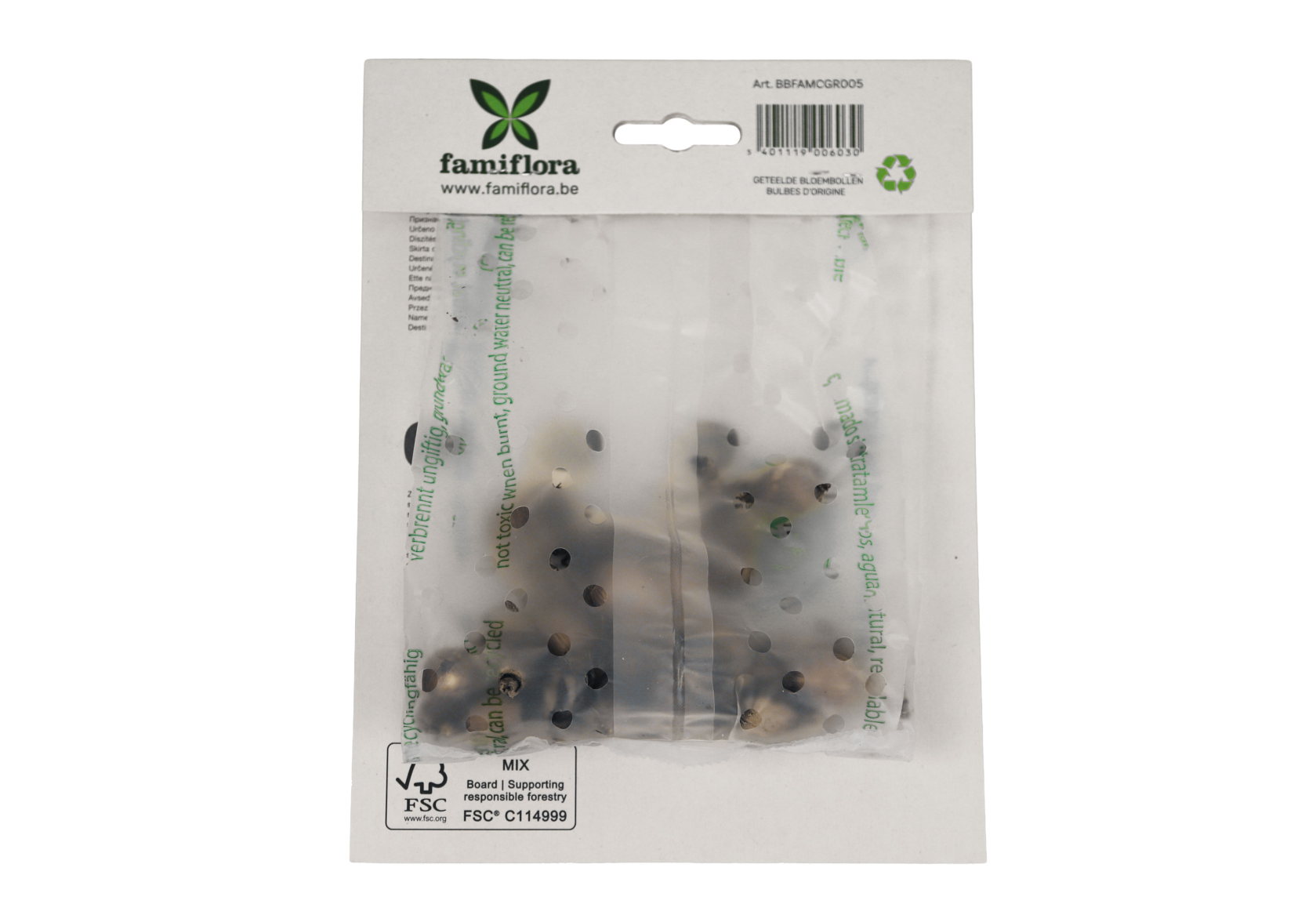 Famiflora Galanthus Woronowii - Voorjaarsbloeiers - 25 bloembollen