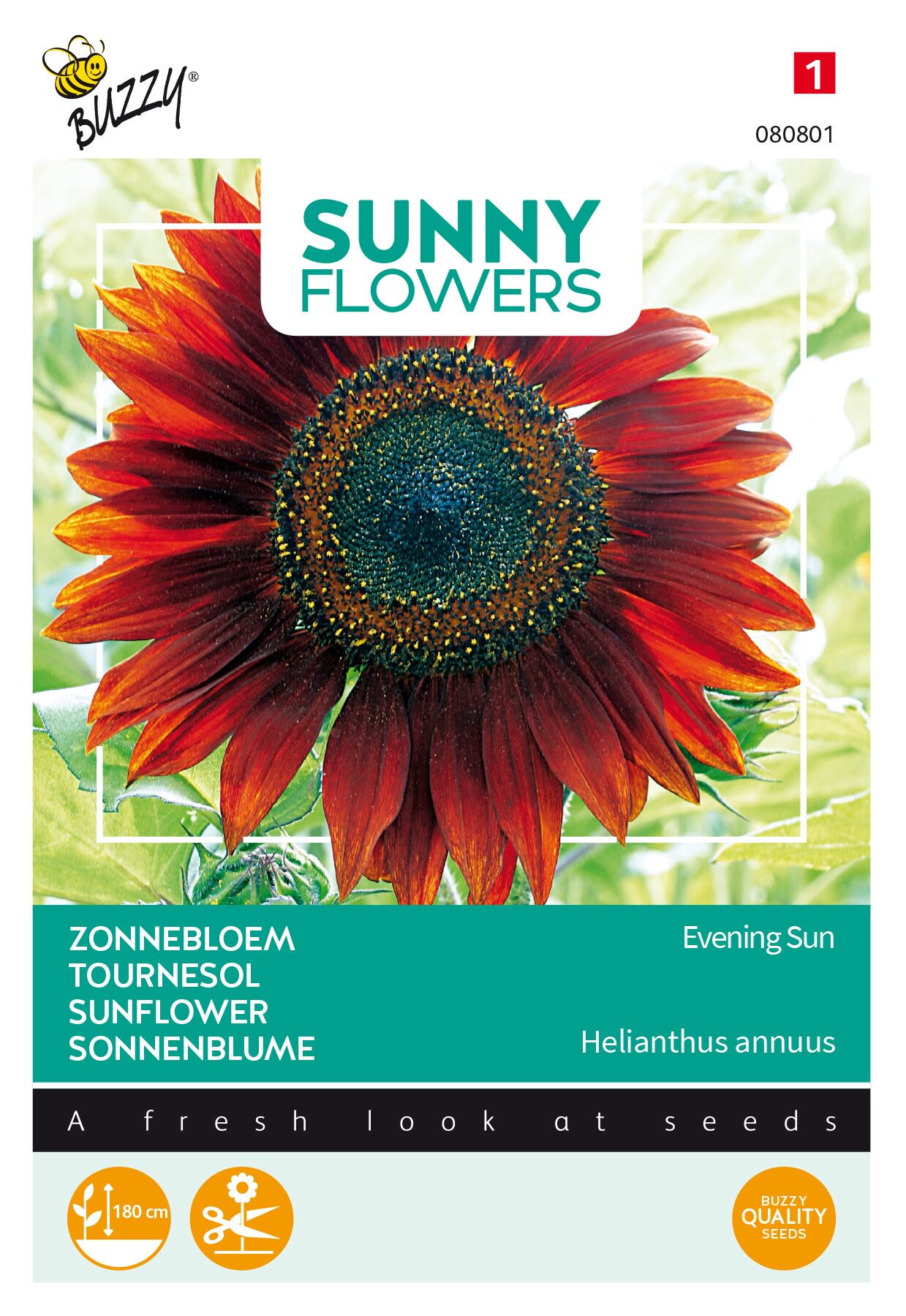 Buzzy-Sunny-Flowers-Zonnebloem-Avondzon