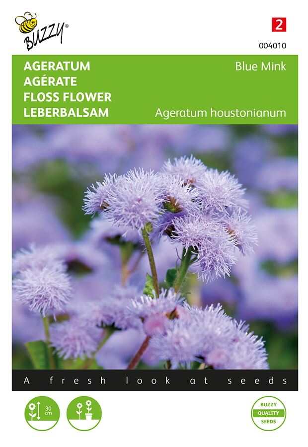 Buzzy-Ageratum-Leverbalsem-Blue-Mink