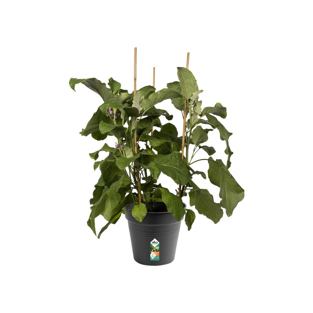 green-basics-kweekpot-rond-21cm-living-black