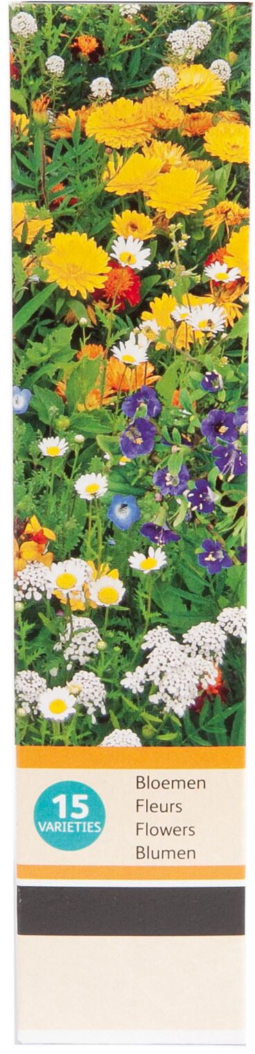 Buzzy-Friendly-Flowers-Vlinders-Laag-15m-16-