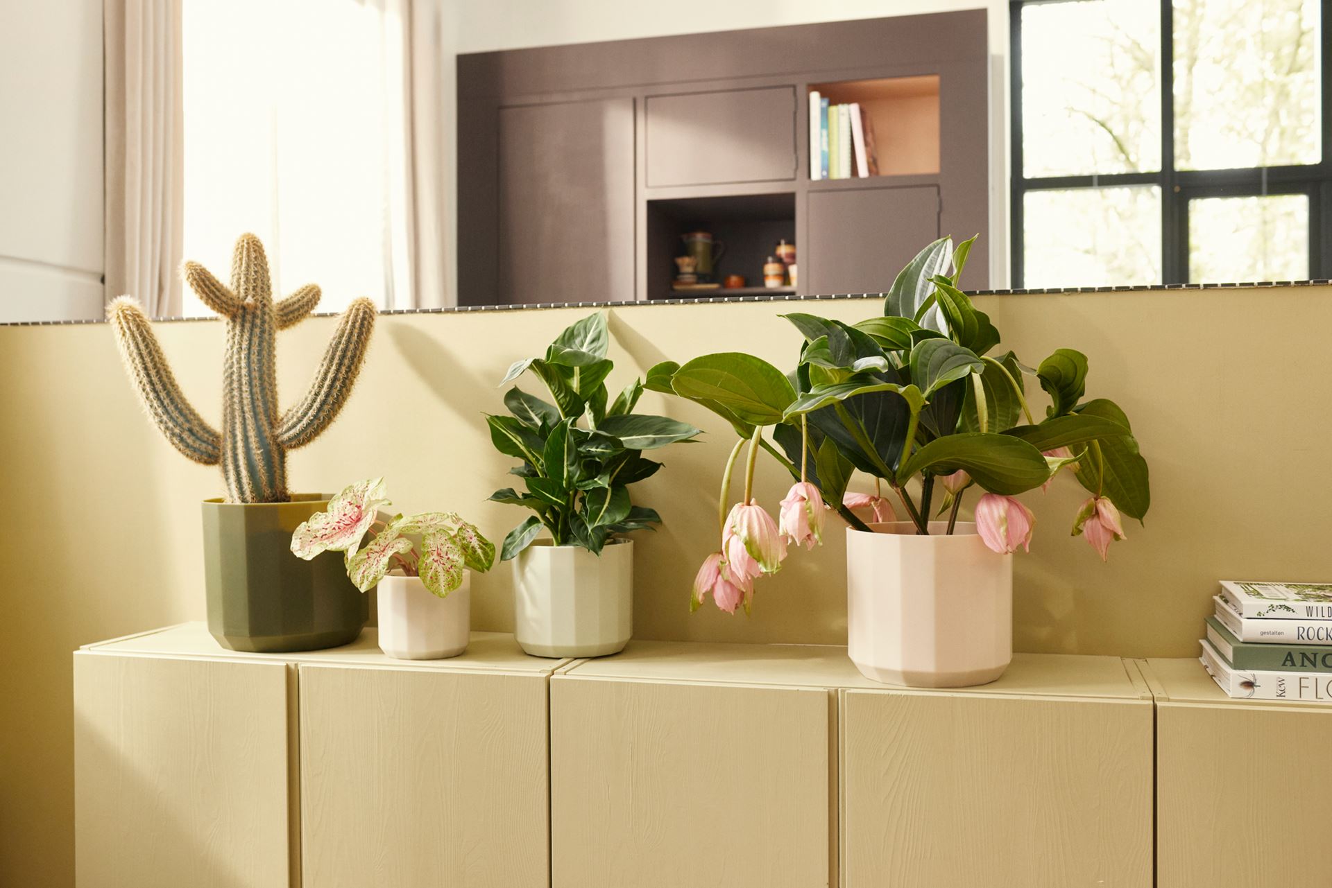 Elho-facet-rond-26cm-bos-groen-Bloempot-voor-Binnen-100-Gerecycled-Plastic-26x-H23cm