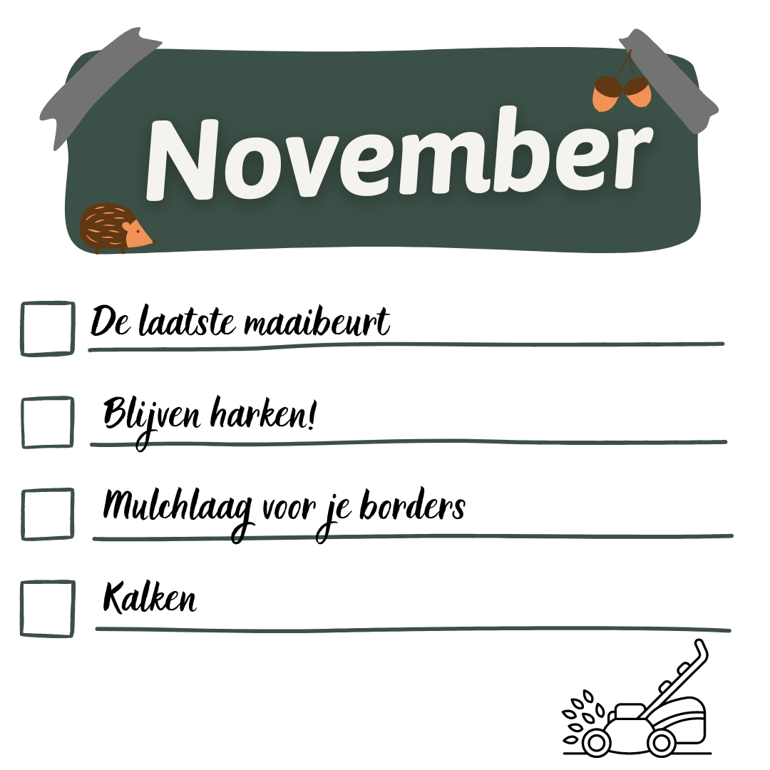 gazonkalender november