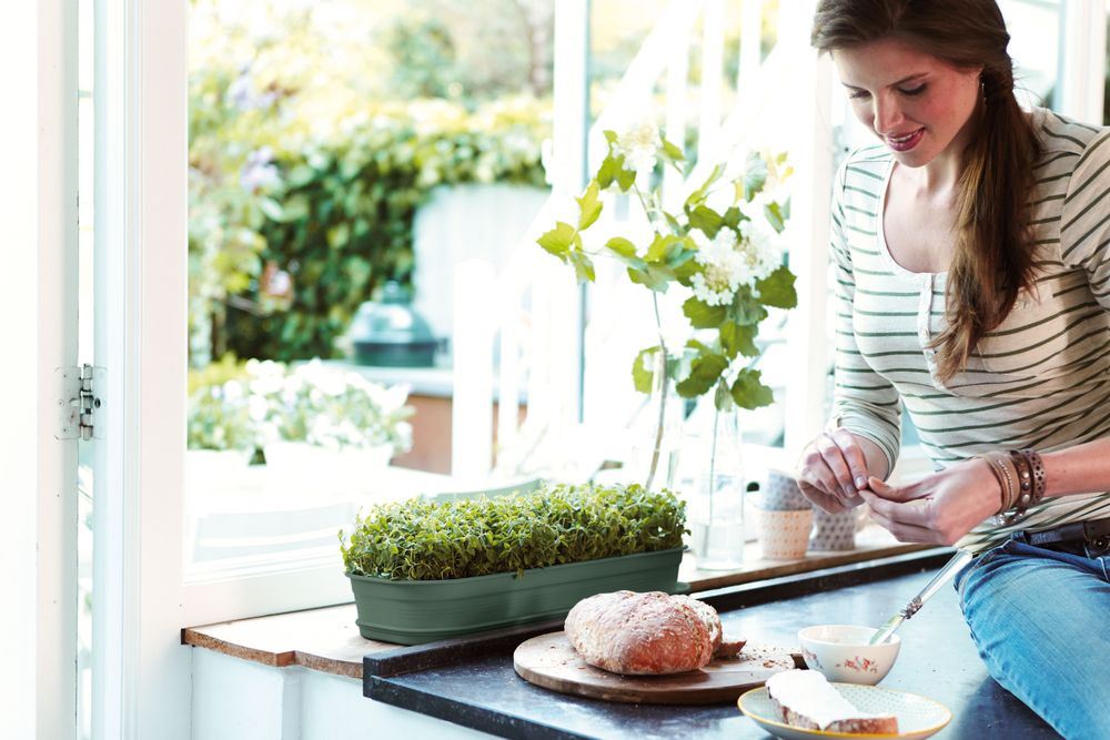 green-basics-kweektray-l-blad-groen