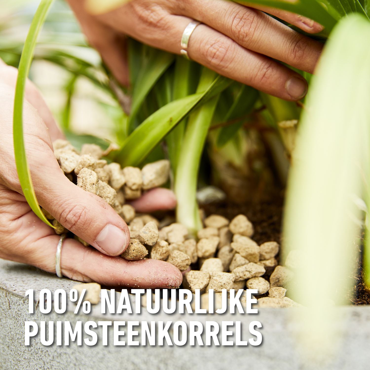 granuplant-puimsteen-korrels-25L-Hydrokorrels