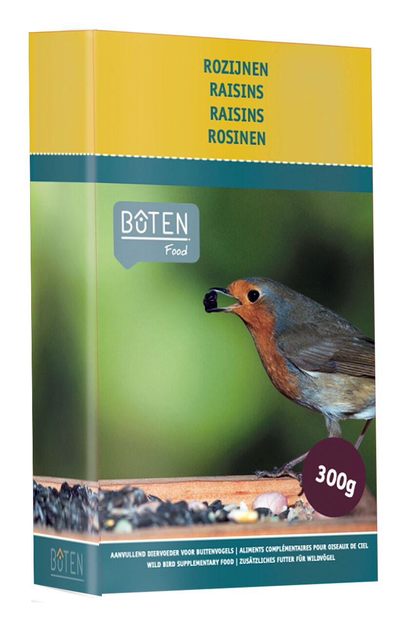 Buten-Food-Rozijnen-in-doosje-300g-