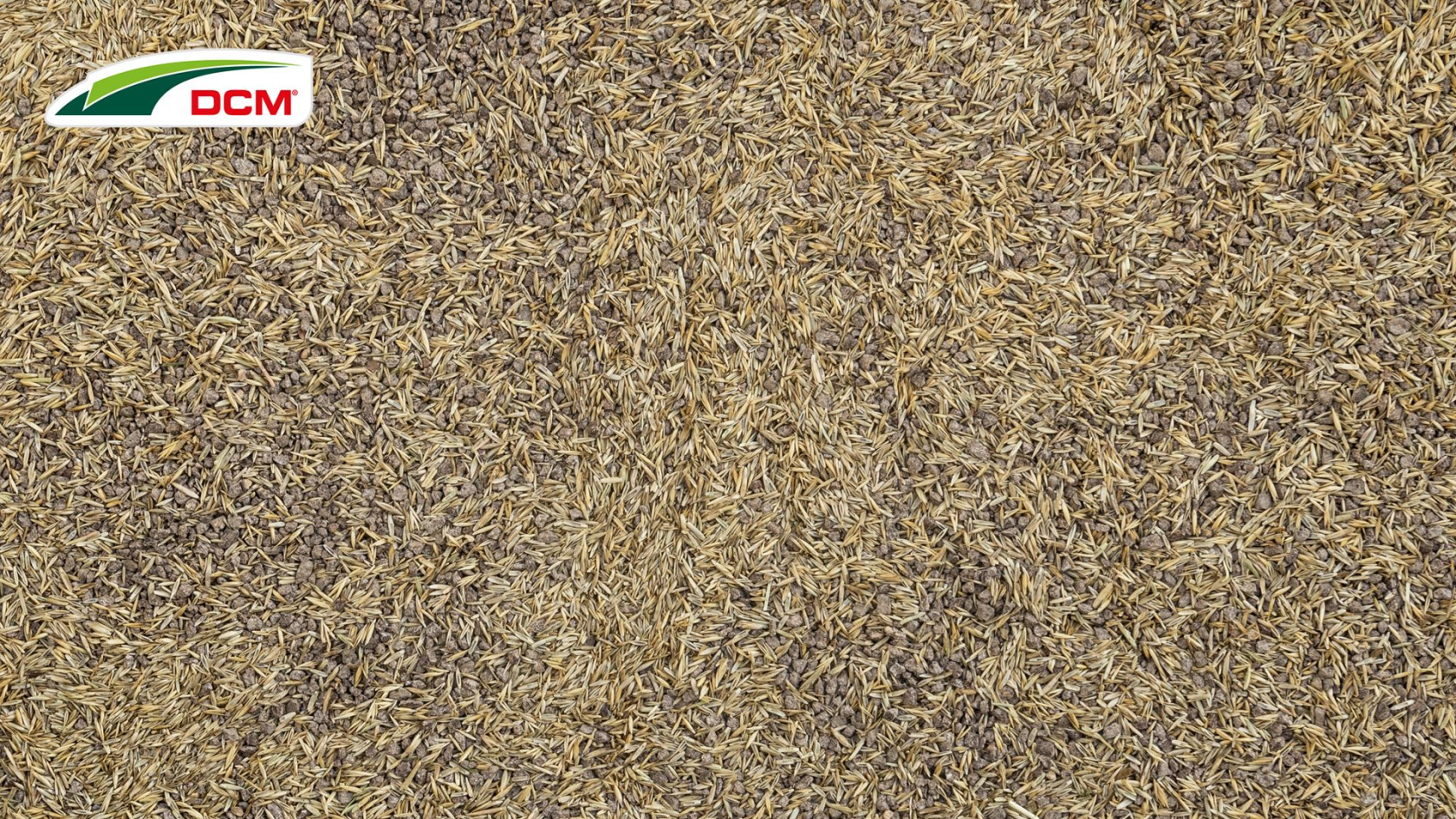 DCM graszaad 600g tot 30m² - 2-in-1 Speel & Sport Plus incl. organische startvoeding - ijzersterk gazon