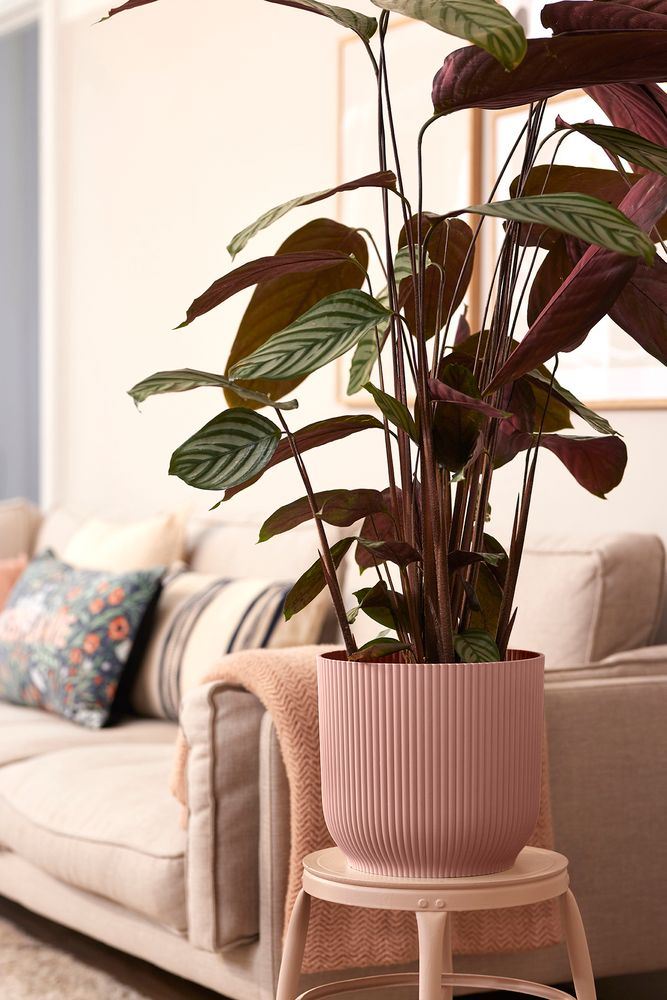 Bloempot-vibes-fold-rond-wielen-35cm-delicaat-roze