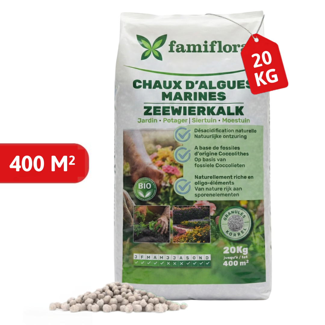 Famiflora seaweed lime 20 kg up to 400 m² - for lawn