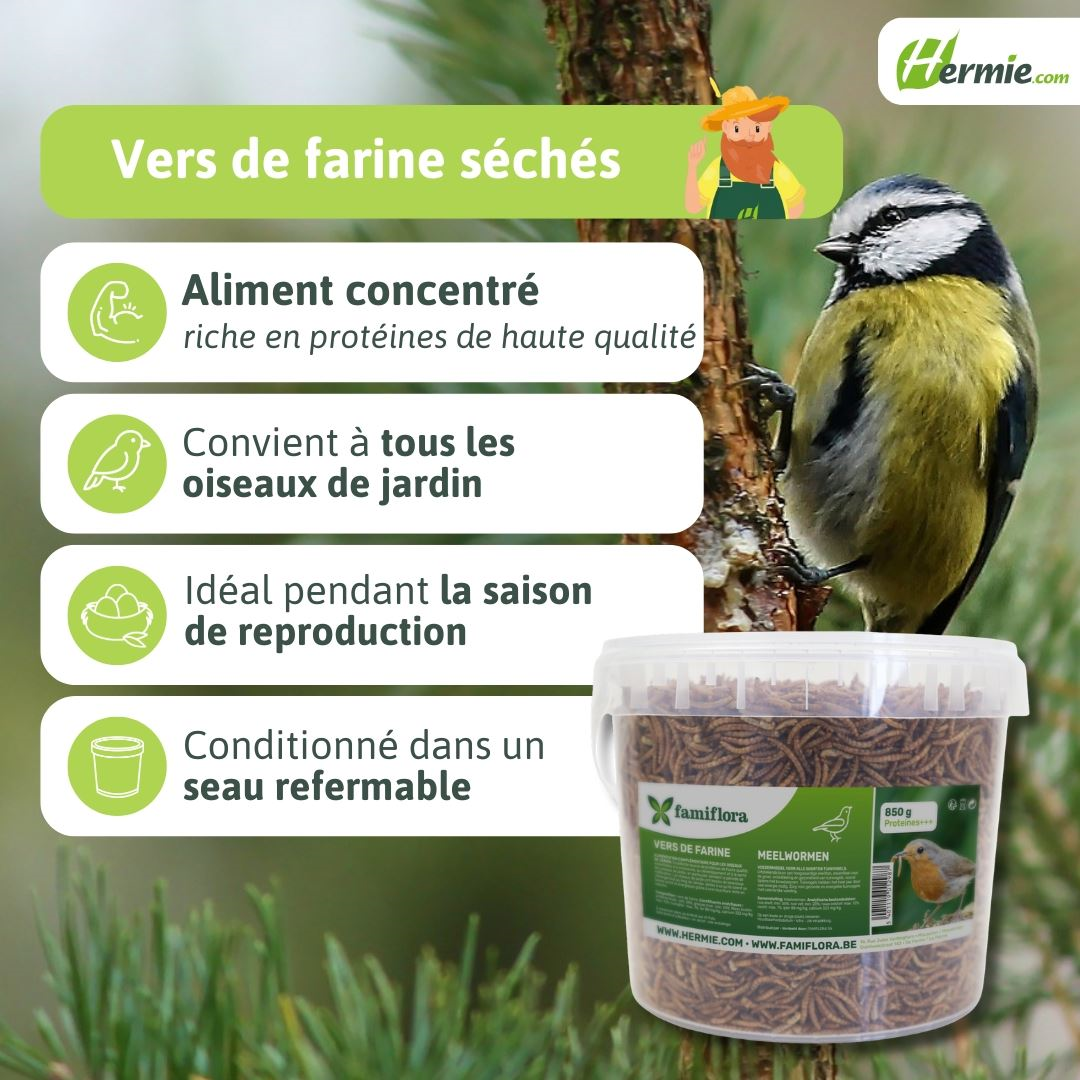 Famiflora vers de farine séchés 850 g = ± 5L en seau refermable - pour oiseaux de jardin