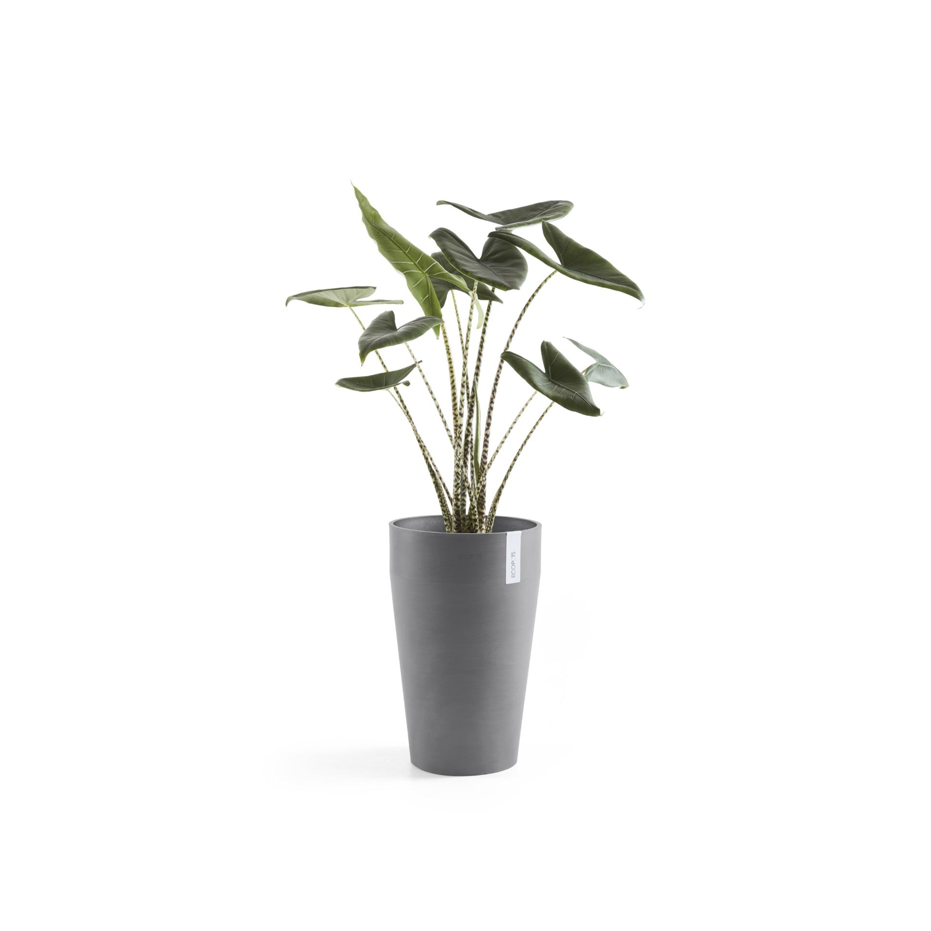 Ecopots-sankara-high-grey-35-cm-H55-cm