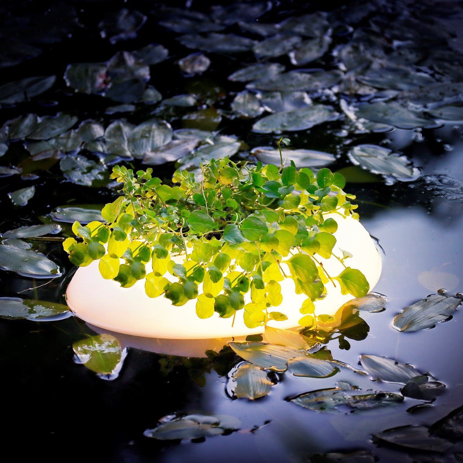 Velda-Floating-Pond-Light-drijvend-lampje-met-plaats-voor-je-favoriete-vijverplant-