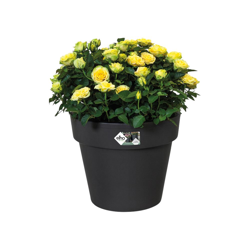green-basics-top-planter-30cm-living-black