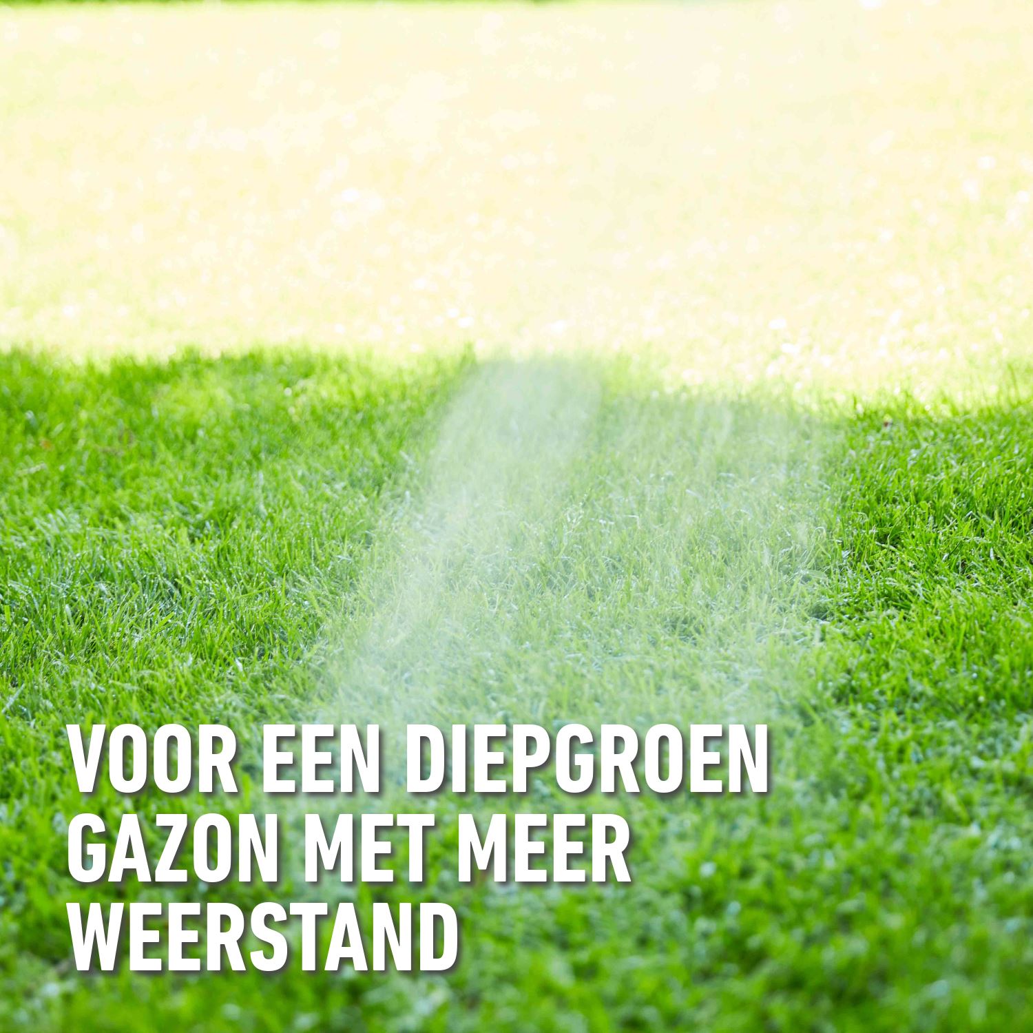 Compo-easy-mix-2-in-1-100-m-2-2kg