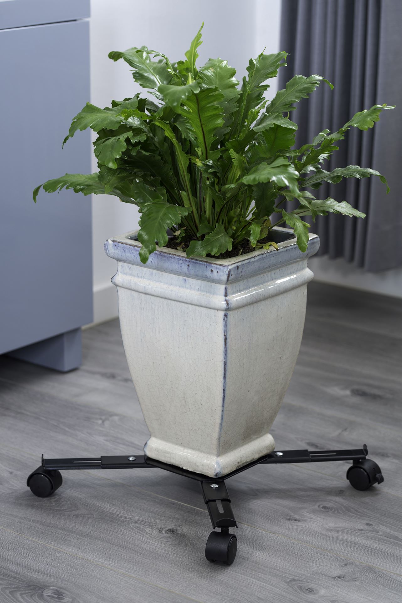 Verstelbare-planttrolley-epoxy-metaalkleur-mat-zwart-4-armen-draaggewicht-100-kg-4-PP-40-mm-wielen-2