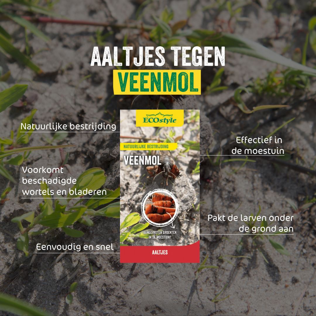 Aaltjes-FC-tegen-veenmol-10-mln-60-m-