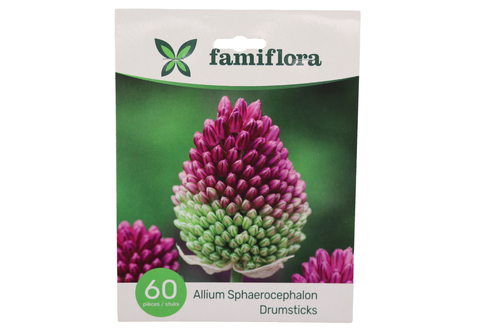 Famiflora Allium Sphaerocephalon - 60 bulbs - Size 5/6 - Spring bloomers