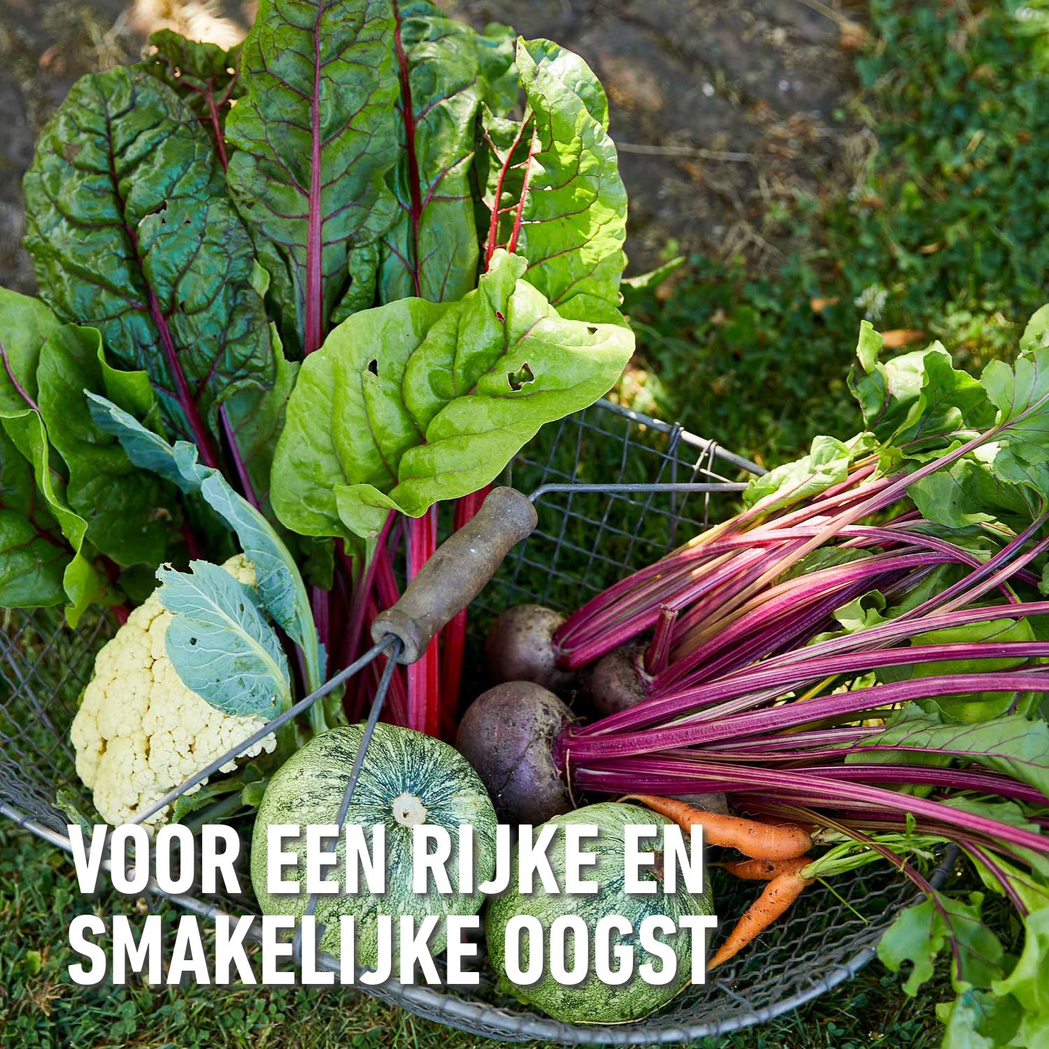 Compo-bio-meststof-fruit-groenten-3-5kg