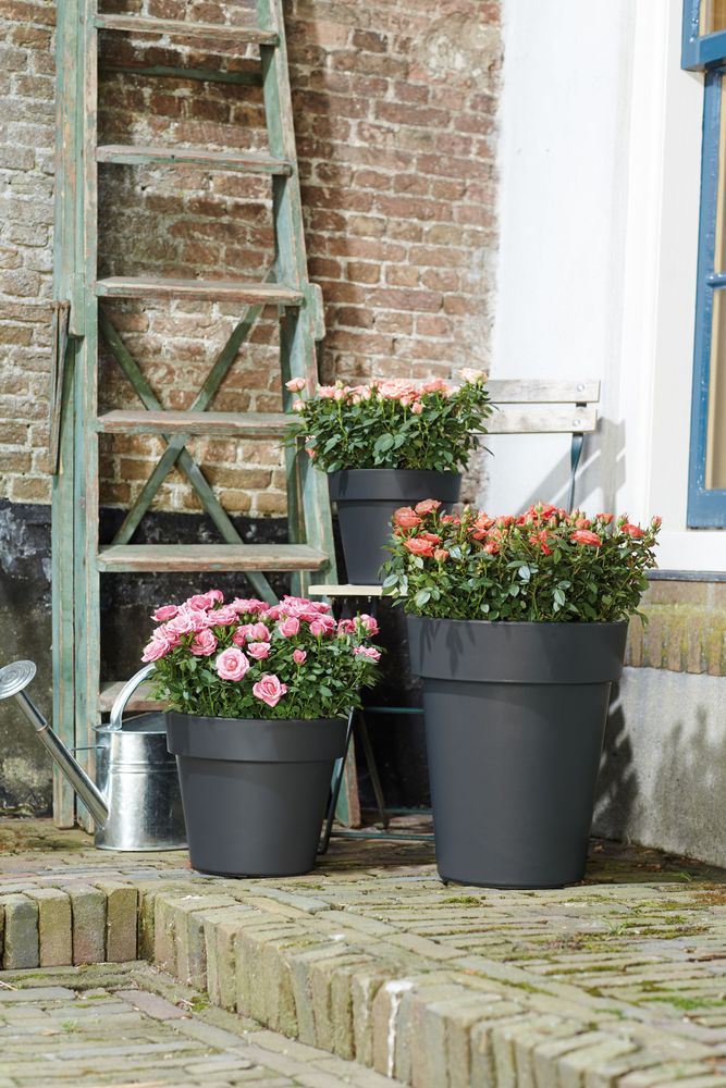green-basics-top-planter-30cm-living-black