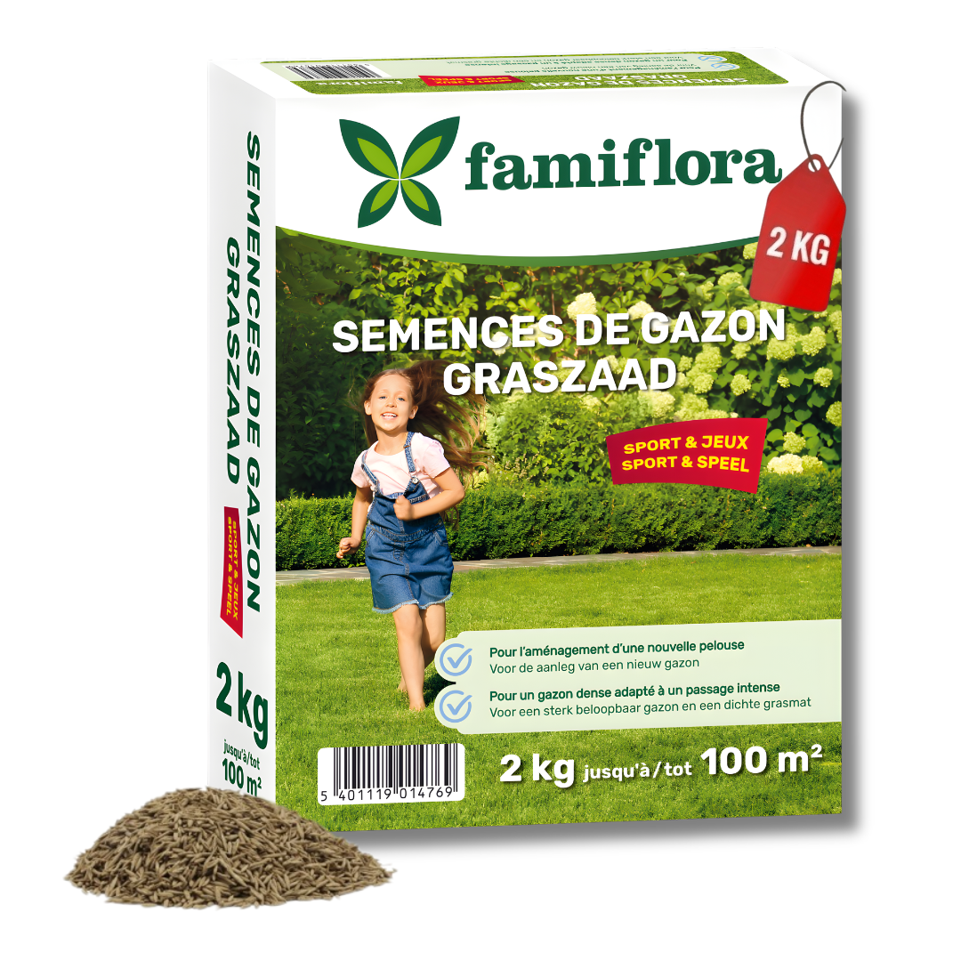 Famiflora grass seed 2kg up to 100m² - Play & Sports - for laying new lawn