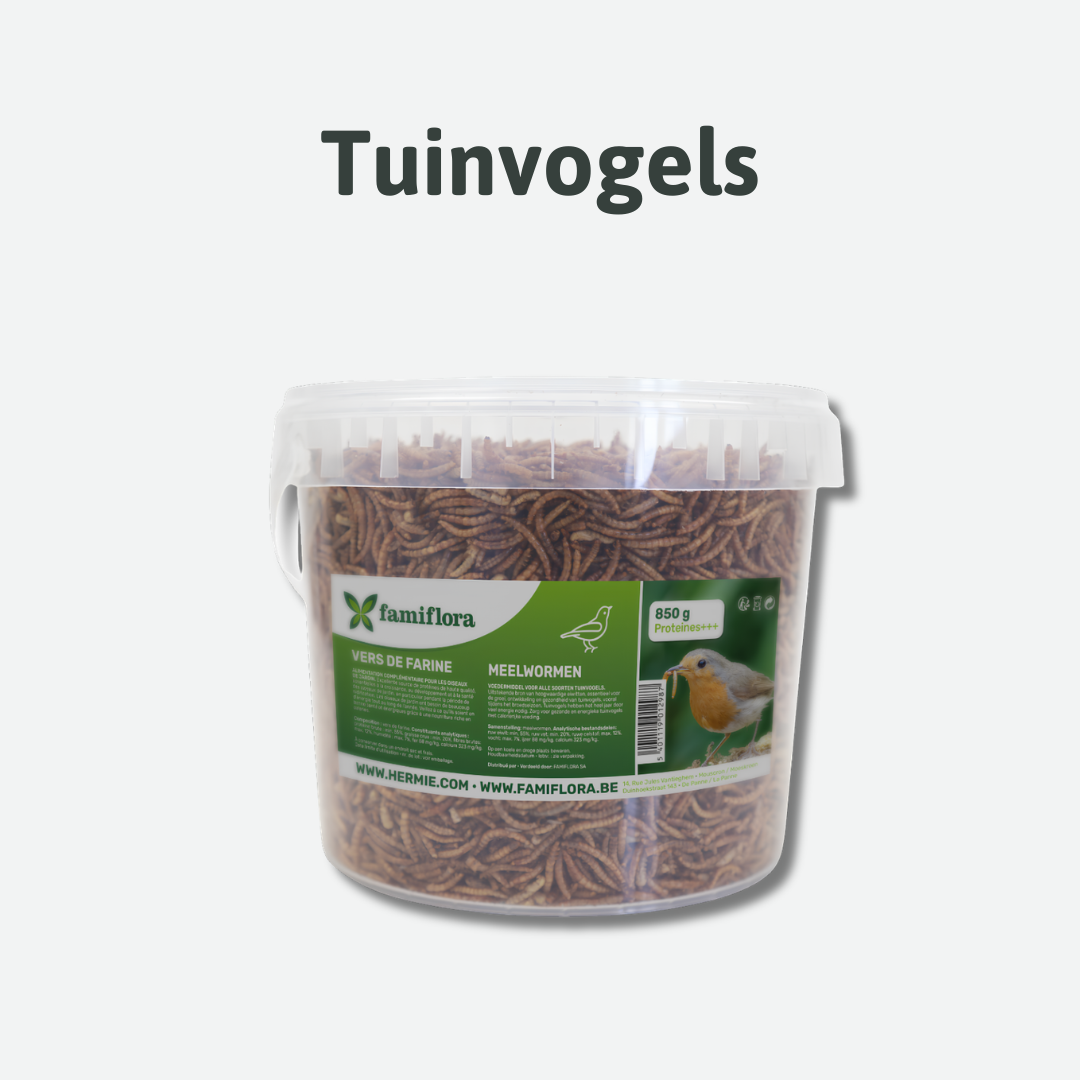 meelwormen voor de tuinvogels