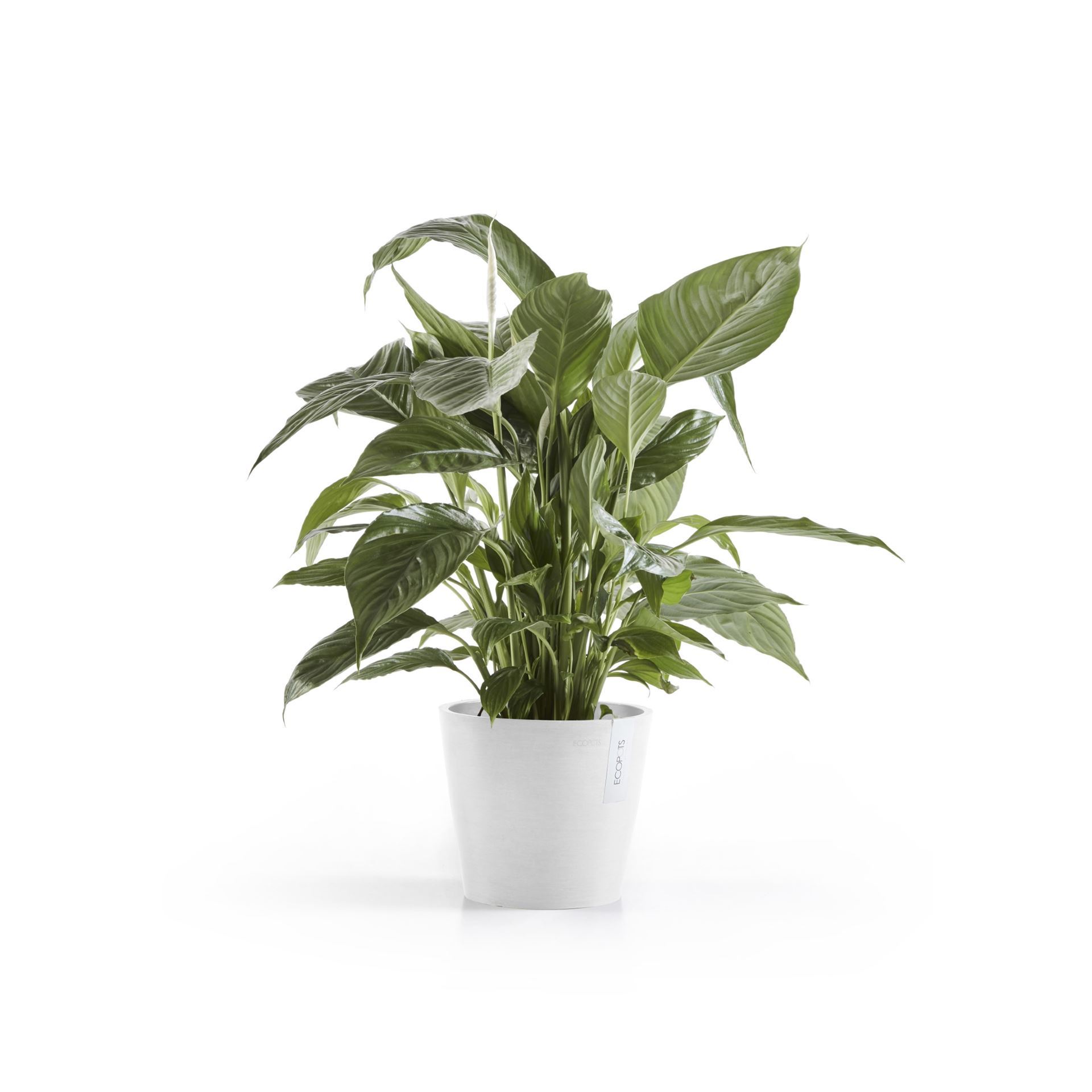 Ecopots-amsterdam-pure-white-20-cm-H-17-5-cm