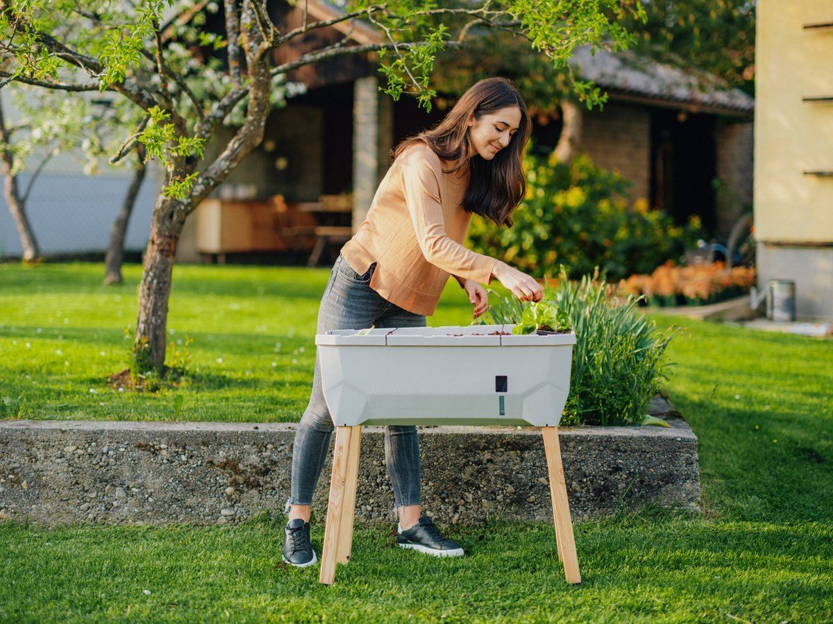 GUSTA GARDEN Sammy Salad Jardinière surélevée pour balcon et jardin, avec capot amovible et système d'irrigation, réservoir d'eau de 15 l et volume de terre de 40 l, gris clair GUSTA GARDEN Sammy Salad Jardinière surélevée pour balcon et jardin, avec capot amovible et système d'irrigation, réservoir d'eau de 15 l et volume de terre de 40 l, gris clair